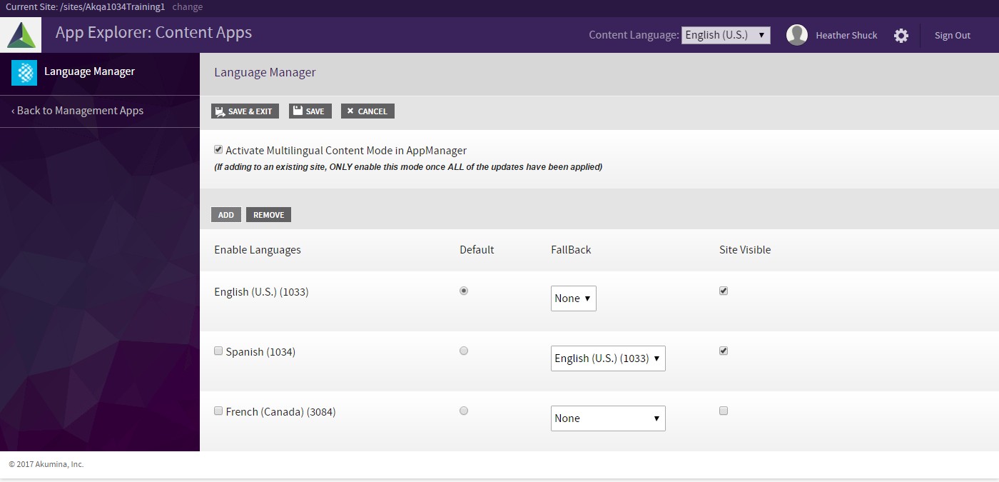 LanugageManager2